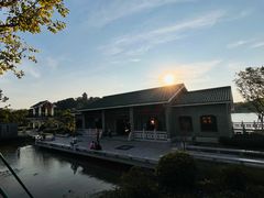 -王借岗森林公园