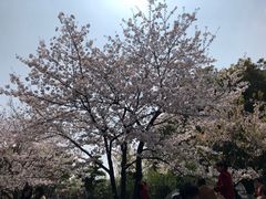 -堤角公园