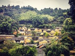 -杨家堂村