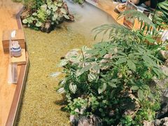 -森味薪火烧•烧鸟居酒屋•日本料理(望京店)