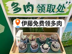-伊藤洋华堂(高新店)