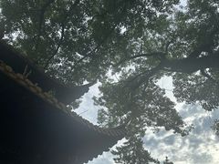 -浙江省博物馆(孤山馆区)