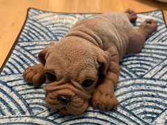 -红小满休闲餐厅(十全街店)