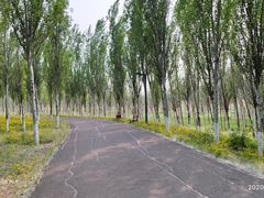 -东郊湿地公园