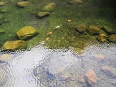 -宁波五龙潭景区