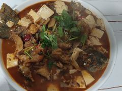 -煲来饱去冷水鱼