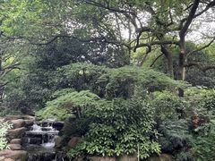 -中国茶叶博物馆(双峰馆区)