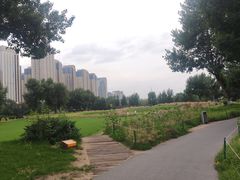 -长白岛森林公园