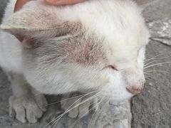 -万寿八仙宫