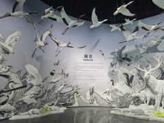 -中国湿地博物馆