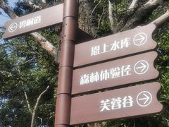 -梧桐山风景名胜区