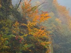 -九峰山