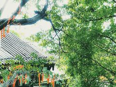 -重庆十八梯传统风貌区