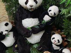 -济州岛泰迪熊博物馆