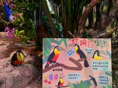 -正佳雨林生态植物园