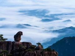 -黄山风景区