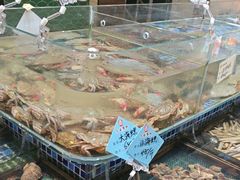 -天盛海鲜烧烤大排档·本地小海鲜·牟平腿穗子(幸福店)
