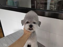 -宠物家(角门东店)