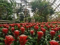 -南山植物园