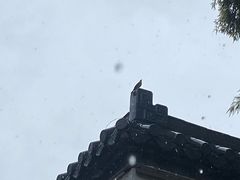 -EVA咖啡小酒馆