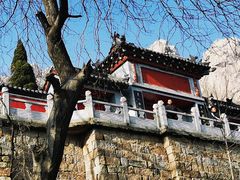 -大泽山风景名胜区