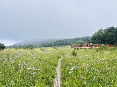 -白草畔自然风景区