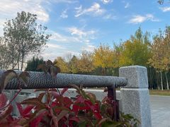 -伊犁河风景区