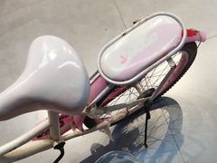 -xds喜德盛自行车(滴水湖店)