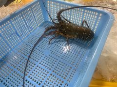 -班赞海鲜市场