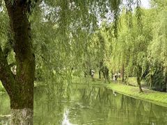 -中国美术学院象山校区-民艺博物馆