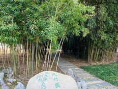 -堤角公园