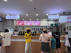 -雾与山茶(大禹城店)