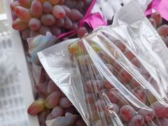 -马陆小张葡萄园农家乐