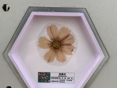 -明蜀王陵(地铁站)