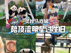 -灵玲国际马戏城