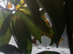 -艾溪湖湿地公园