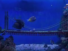 -太平洋海底世界