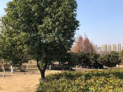 -白塘生态植物园