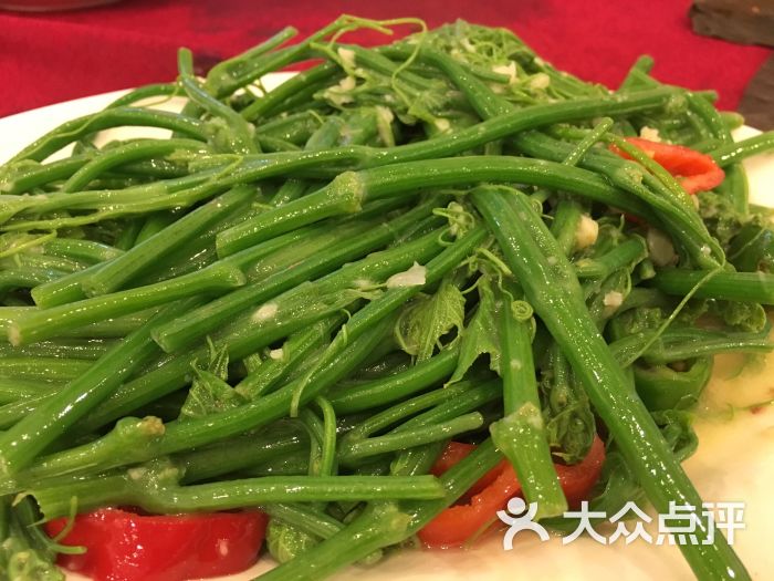 胜记美食街-炒南瓜藤-菜-炒南瓜藤图片-肇庆美食-大众点评网