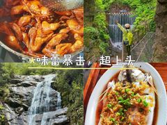 -芦茨金富饭庄·25年老字号·专做稻草鸡