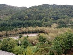 -石岛赤山风景区