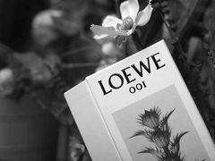 -LOEWE罗意威(万象城店)
