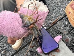 -DGE季风钓虾营地·团建·聚会