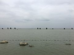-滆湖低碳生态公园