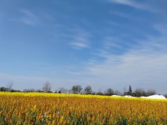 -中国天府农业博览园