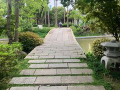 -江心屿景区