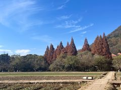 -八卦田遗址公园