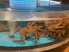 -缤圣源中国清真菜(群力店)