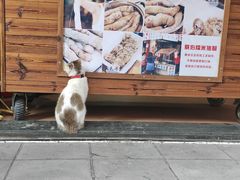 -蔡伯糯米猪肠