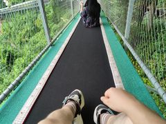 -仙岛湖旅游风景区
